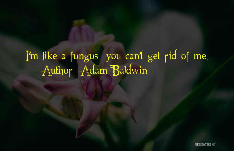 Adam Baldwin Quotes: I'm Like A Fungus; You Can't Get Rid Of Me.