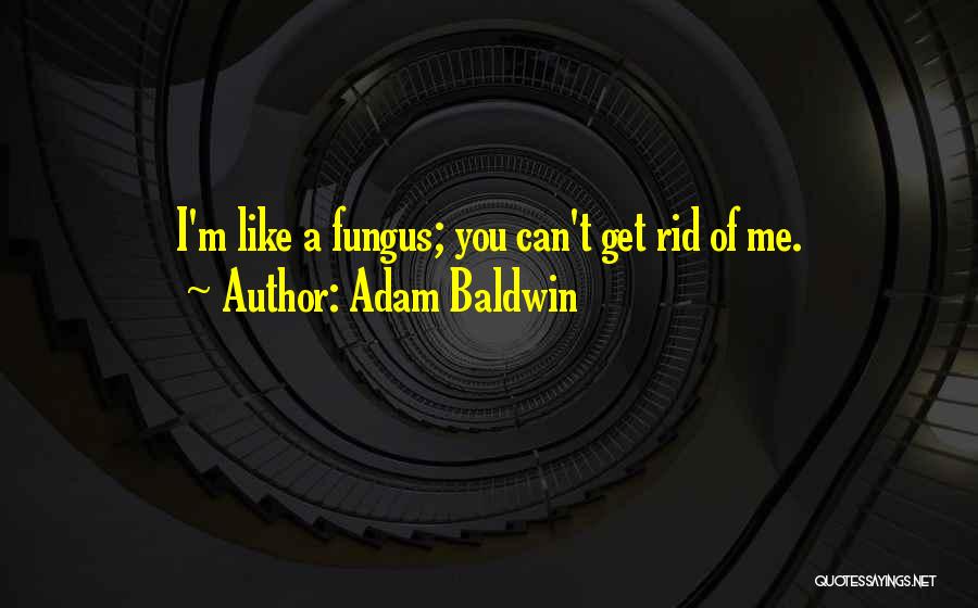 Adam Baldwin Quotes: I'm Like A Fungus; You Can't Get Rid Of Me.