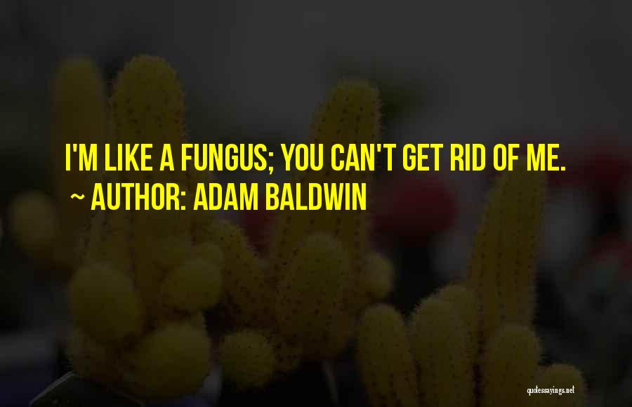 Adam Baldwin Quotes: I'm Like A Fungus; You Can't Get Rid Of Me.