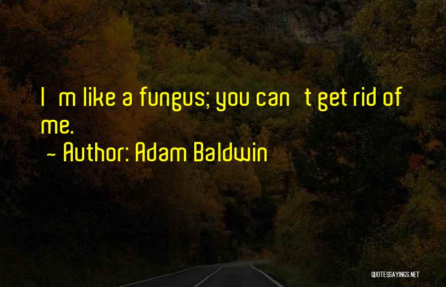 Adam Baldwin Quotes: I'm Like A Fungus; You Can't Get Rid Of Me.