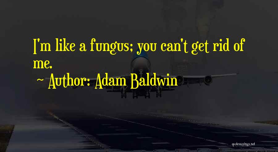 Adam Baldwin Quotes: I'm Like A Fungus; You Can't Get Rid Of Me.