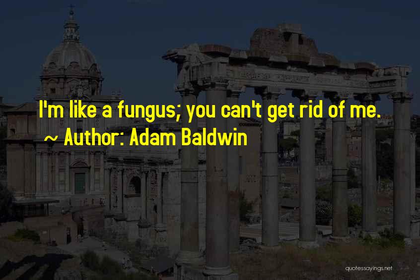 Adam Baldwin Quotes: I'm Like A Fungus; You Can't Get Rid Of Me.