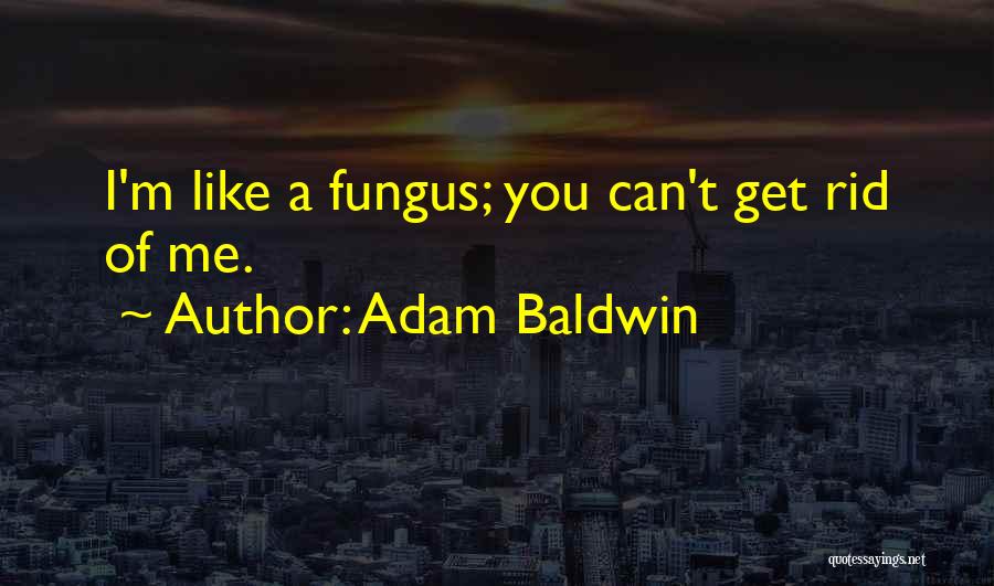 Adam Baldwin Quotes: I'm Like A Fungus; You Can't Get Rid Of Me.