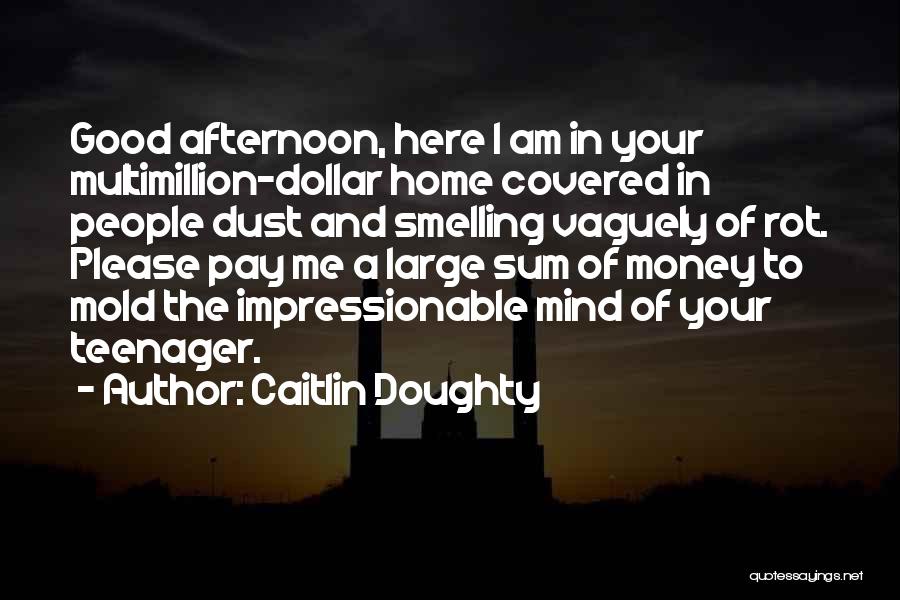 Caitlin Doughty Quotes: Good Afternoon, Here I Am In Your Multimillion-dollar Home Covered In People Dust And Smelling Vaguely Of Rot. Please Pay
