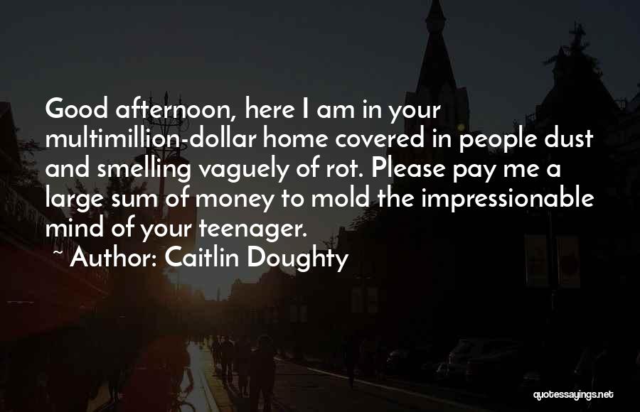 Caitlin Doughty Quotes: Good Afternoon, Here I Am In Your Multimillion-dollar Home Covered In People Dust And Smelling Vaguely Of Rot. Please Pay