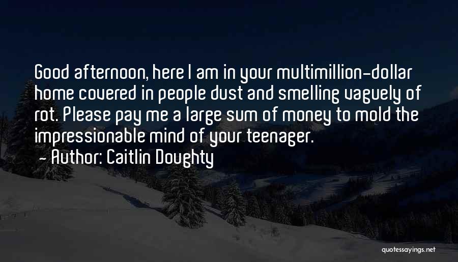 Caitlin Doughty Quotes: Good Afternoon, Here I Am In Your Multimillion-dollar Home Covered In People Dust And Smelling Vaguely Of Rot. Please Pay