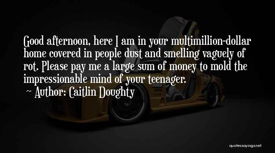 Caitlin Doughty Quotes: Good Afternoon, Here I Am In Your Multimillion-dollar Home Covered In People Dust And Smelling Vaguely Of Rot. Please Pay