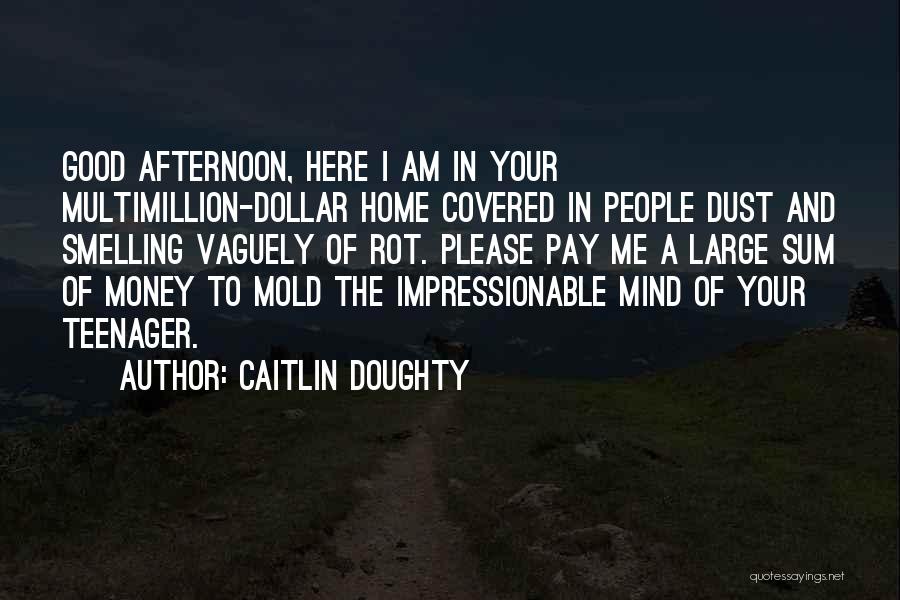 Caitlin Doughty Quotes: Good Afternoon, Here I Am In Your Multimillion-dollar Home Covered In People Dust And Smelling Vaguely Of Rot. Please Pay