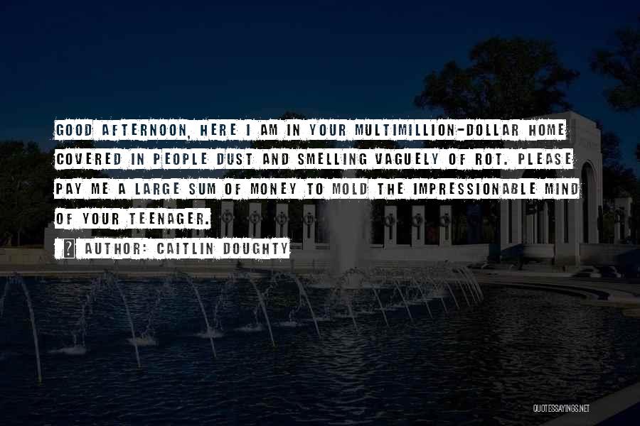 Caitlin Doughty Quotes: Good Afternoon, Here I Am In Your Multimillion-dollar Home Covered In People Dust And Smelling Vaguely Of Rot. Please Pay