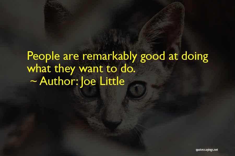 Joe Little Quotes: People Are Remarkably Good At Doing What They Want To Do.