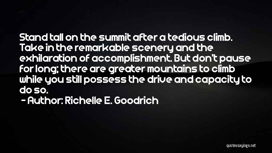 Richelle E. Goodrich Quotes: Stand Tall On The Summit After A Tedious Climb. Take In The Remarkable Scenery And The Exhilaration Of Accomplishment. But