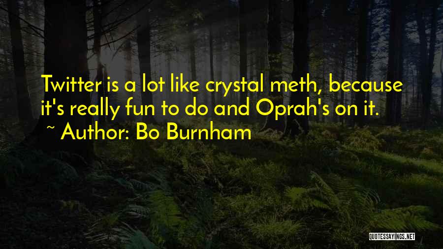 Bo Burnham Quotes: Twitter Is A Lot Like Crystal Meth, Because It's Really Fun To Do And Oprah's On It.