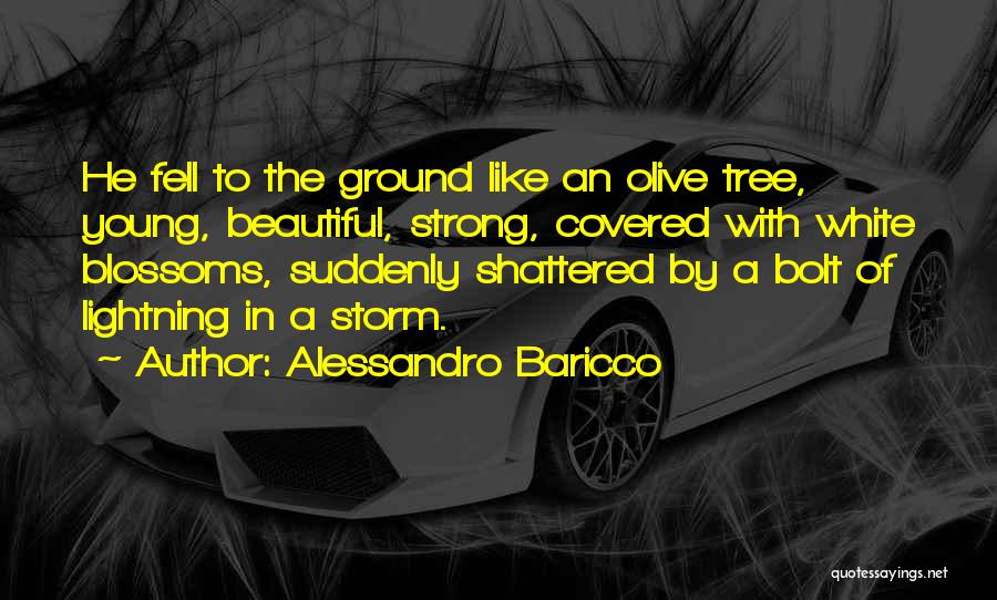 Alessandro Baricco Quotes: He Fell To The Ground Like An Olive Tree, Young, Beautiful, Strong, Covered With White Blossoms, Suddenly Shattered By A