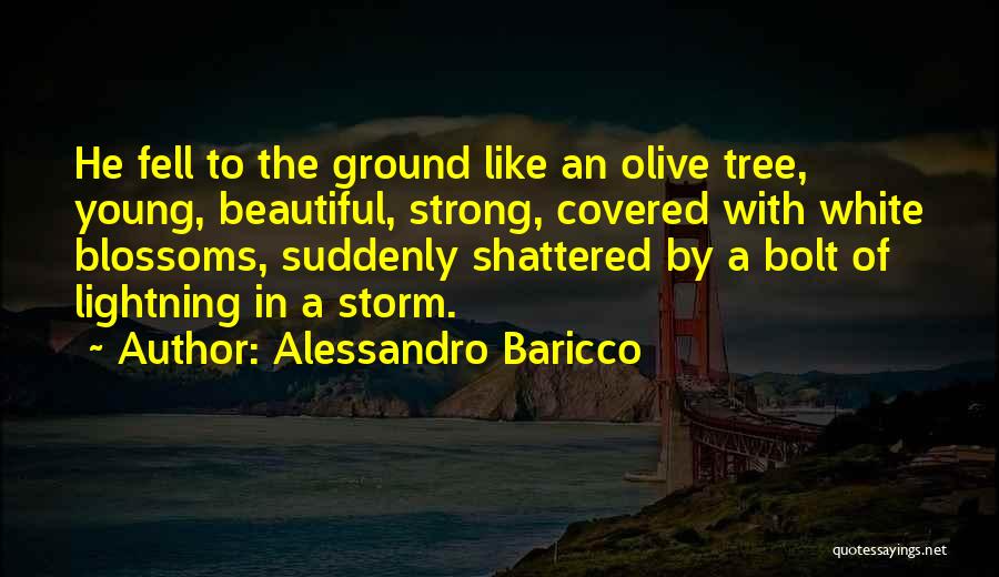 Alessandro Baricco Quotes: He Fell To The Ground Like An Olive Tree, Young, Beautiful, Strong, Covered With White Blossoms, Suddenly Shattered By A