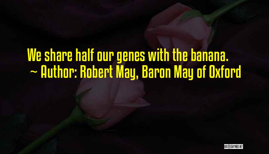 Robert May, Baron May Of Oxford Quotes: We Share Half Our Genes With The Banana.