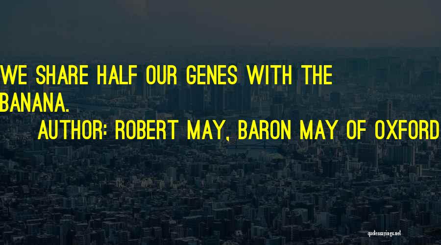 Robert May, Baron May Of Oxford Quotes: We Share Half Our Genes With The Banana.