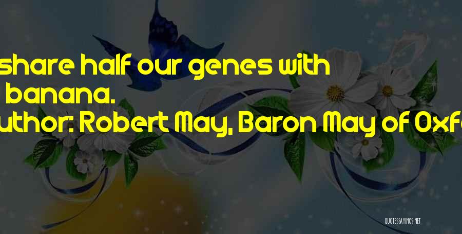 Robert May, Baron May Of Oxford Quotes: We Share Half Our Genes With The Banana.