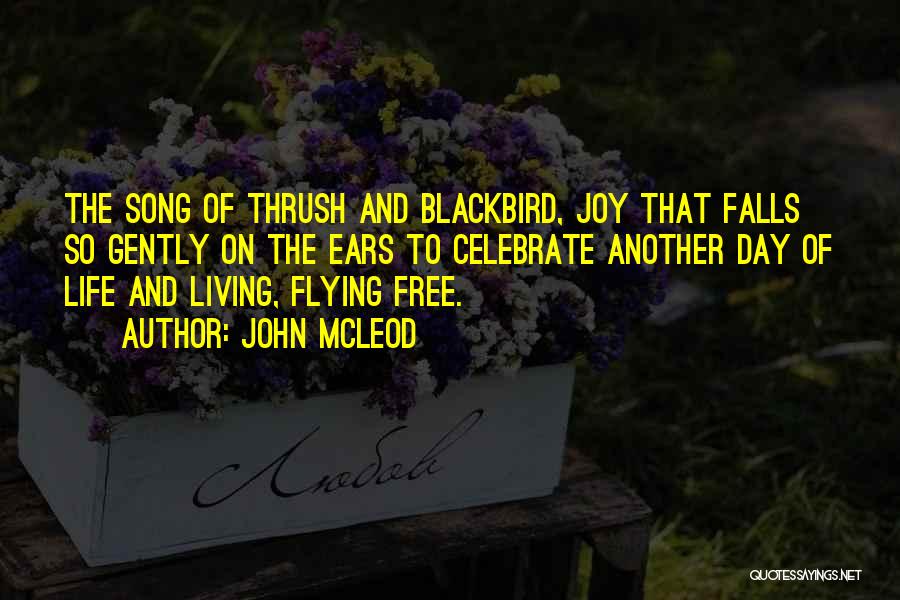 John McLeod Quotes: The Song Of Thrush And Blackbird, Joy That Falls So Gently On The Ears To Celebrate Another Day Of Life