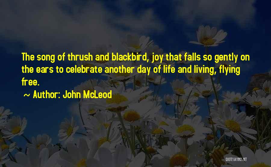 John McLeod Quotes: The Song Of Thrush And Blackbird, Joy That Falls So Gently On The Ears To Celebrate Another Day Of Life