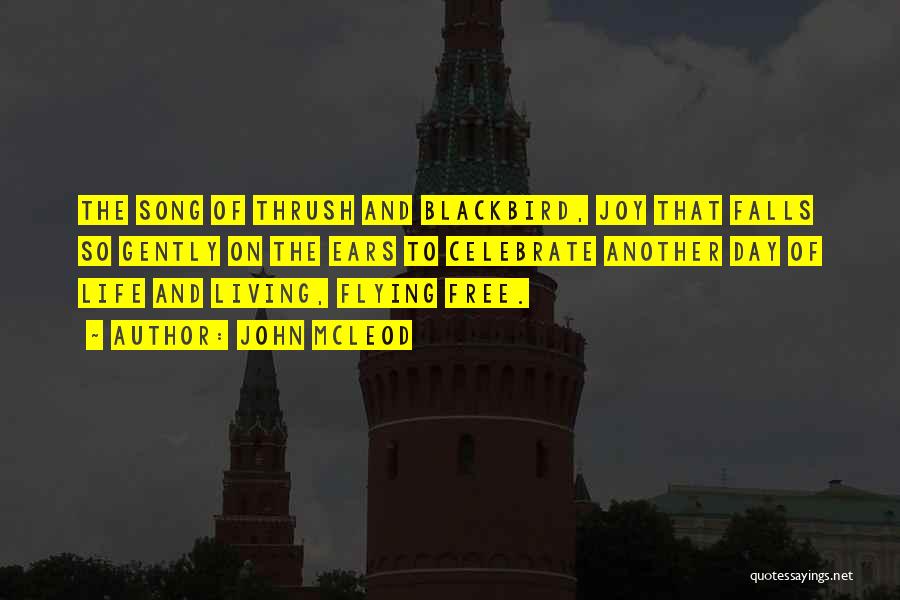 John McLeod Quotes: The Song Of Thrush And Blackbird, Joy That Falls So Gently On The Ears To Celebrate Another Day Of Life