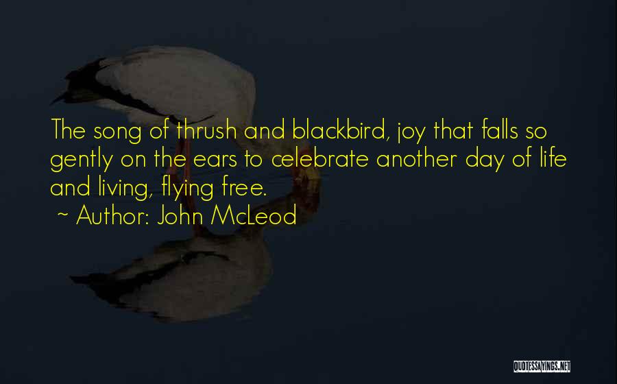 John McLeod Quotes: The Song Of Thrush And Blackbird, Joy That Falls So Gently On The Ears To Celebrate Another Day Of Life