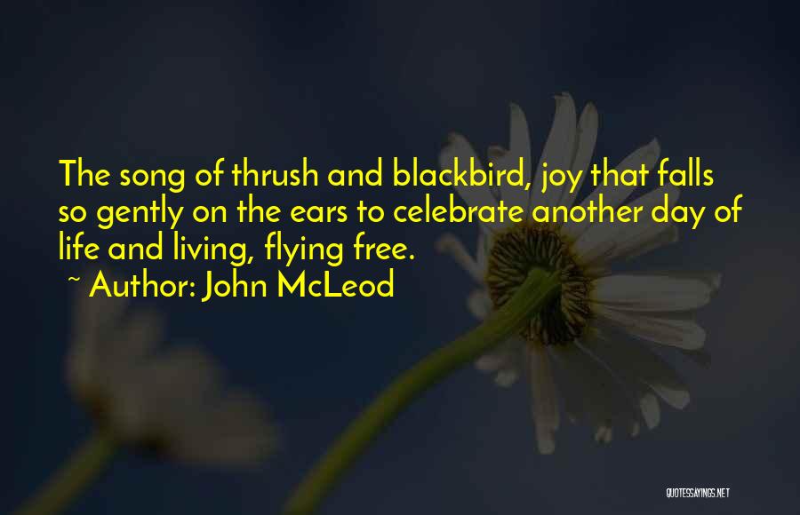 John McLeod Quotes: The Song Of Thrush And Blackbird, Joy That Falls So Gently On The Ears To Celebrate Another Day Of Life