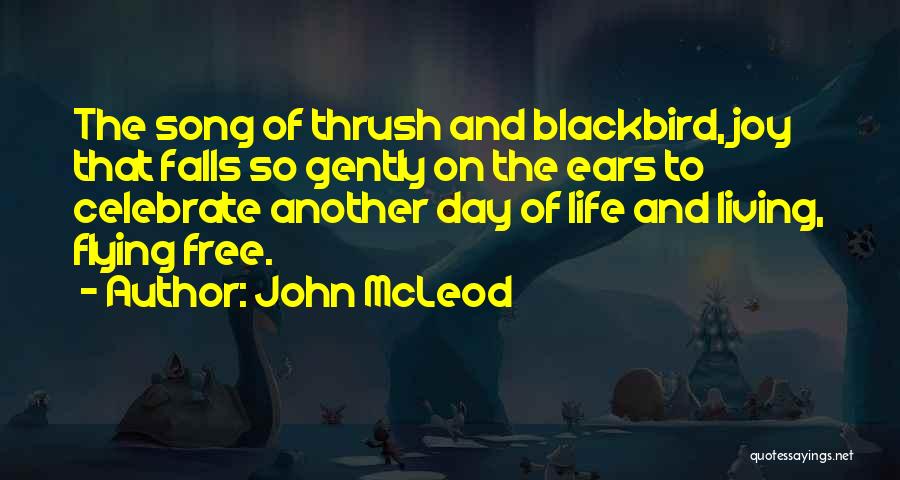 John McLeod Quotes: The Song Of Thrush And Blackbird, Joy That Falls So Gently On The Ears To Celebrate Another Day Of Life