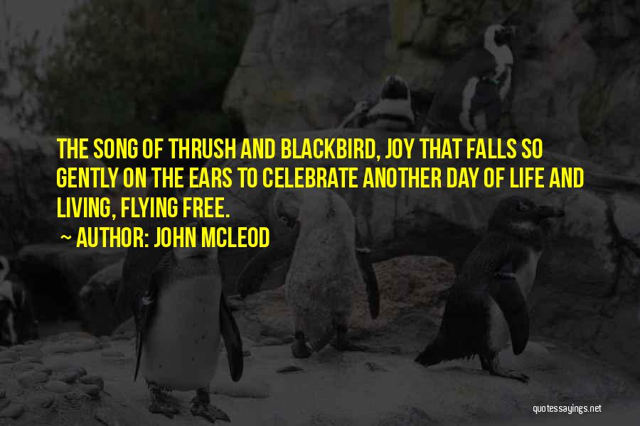 John McLeod Quotes: The Song Of Thrush And Blackbird, Joy That Falls So Gently On The Ears To Celebrate Another Day Of Life