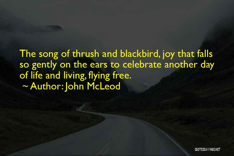 John McLeod Quotes: The Song Of Thrush And Blackbird, Joy That Falls So Gently On The Ears To Celebrate Another Day Of Life