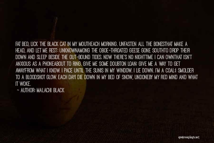 Malachi Black Quotes: Fat Bed, Lick The Black Cat In My Moutheach Morning. Unfasten All The Bonesthat Make A Head, And Let Me