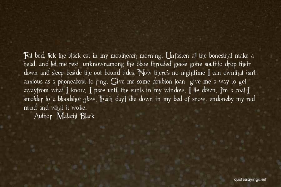 Malachi Black Quotes: Fat Bed, Lick The Black Cat In My Moutheach Morning. Unfasten All The Bonesthat Make A Head, And Let Me