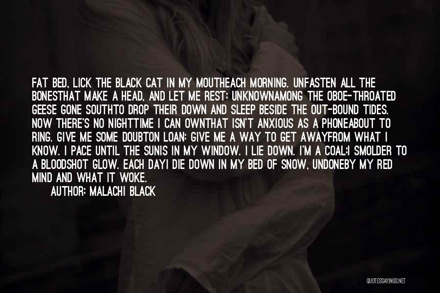 Malachi Black Quotes: Fat Bed, Lick The Black Cat In My Moutheach Morning. Unfasten All The Bonesthat Make A Head, And Let Me