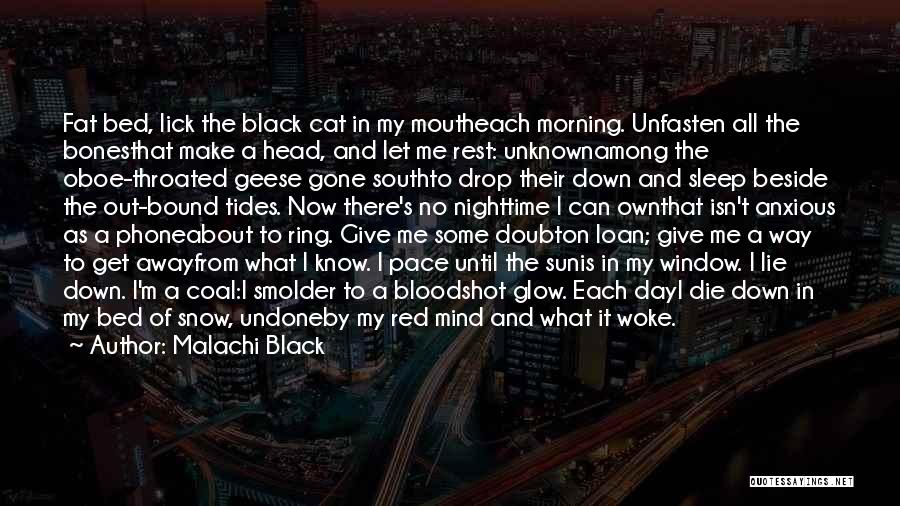 Malachi Black Quotes: Fat Bed, Lick The Black Cat In My Moutheach Morning. Unfasten All The Bonesthat Make A Head, And Let Me