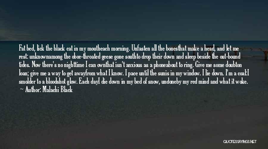 Malachi Black Quotes: Fat Bed, Lick The Black Cat In My Moutheach Morning. Unfasten All The Bonesthat Make A Head, And Let Me