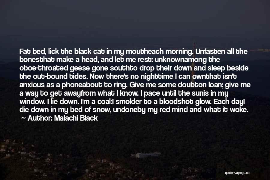 Malachi Black Quotes: Fat Bed, Lick The Black Cat In My Moutheach Morning. Unfasten All The Bonesthat Make A Head, And Let Me