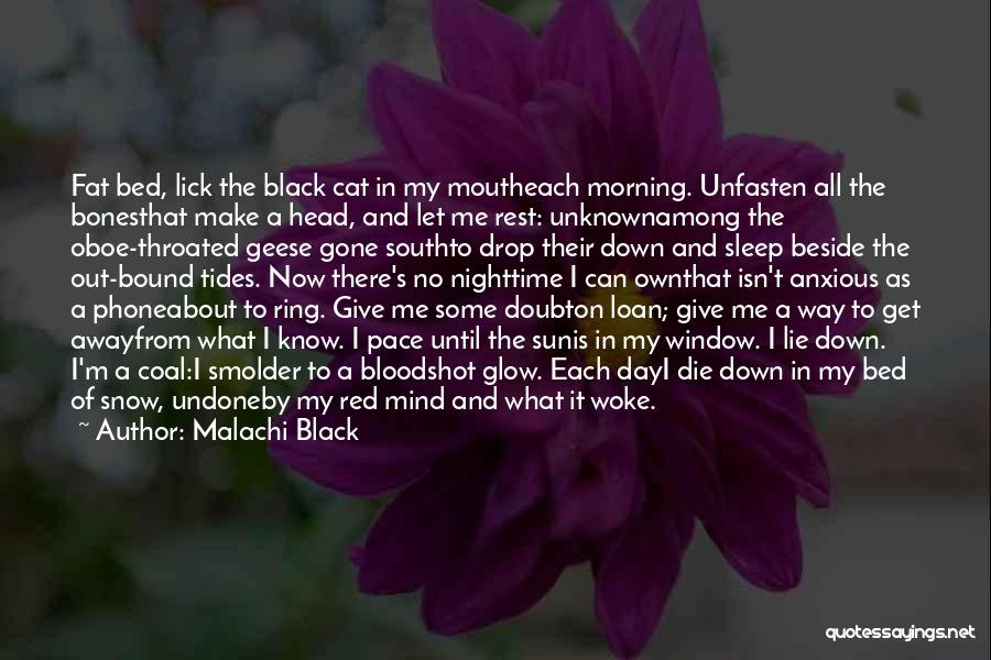 Malachi Black Quotes: Fat Bed, Lick The Black Cat In My Moutheach Morning. Unfasten All The Bonesthat Make A Head, And Let Me