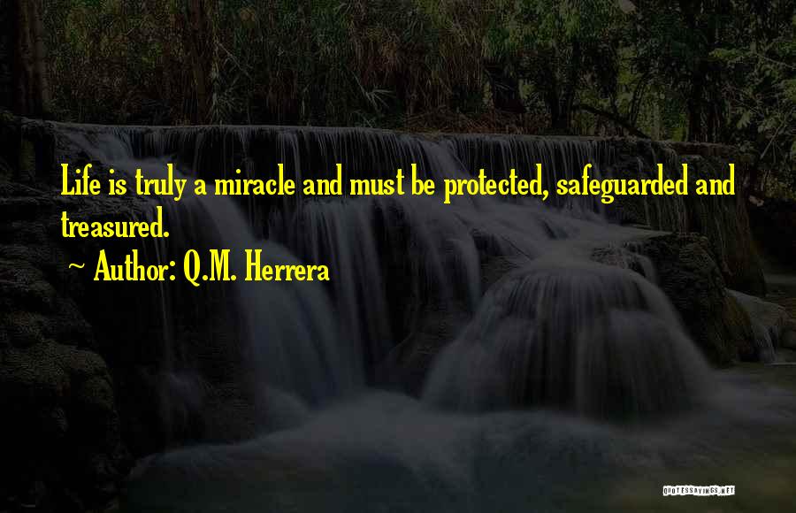 Q.M. Herrera Quotes: Life Is Truly A Miracle And Must Be Protected, Safeguarded And Treasured.