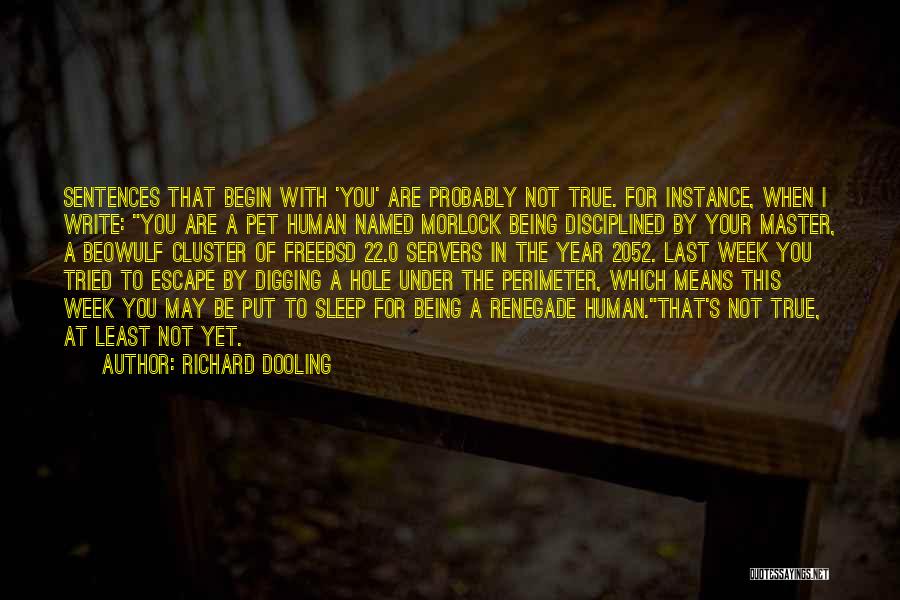 Richard Dooling Quotes: Sentences That Begin With 'you' Are Probably Not True. For Instance, When I Write: You Are A Pet Human Named