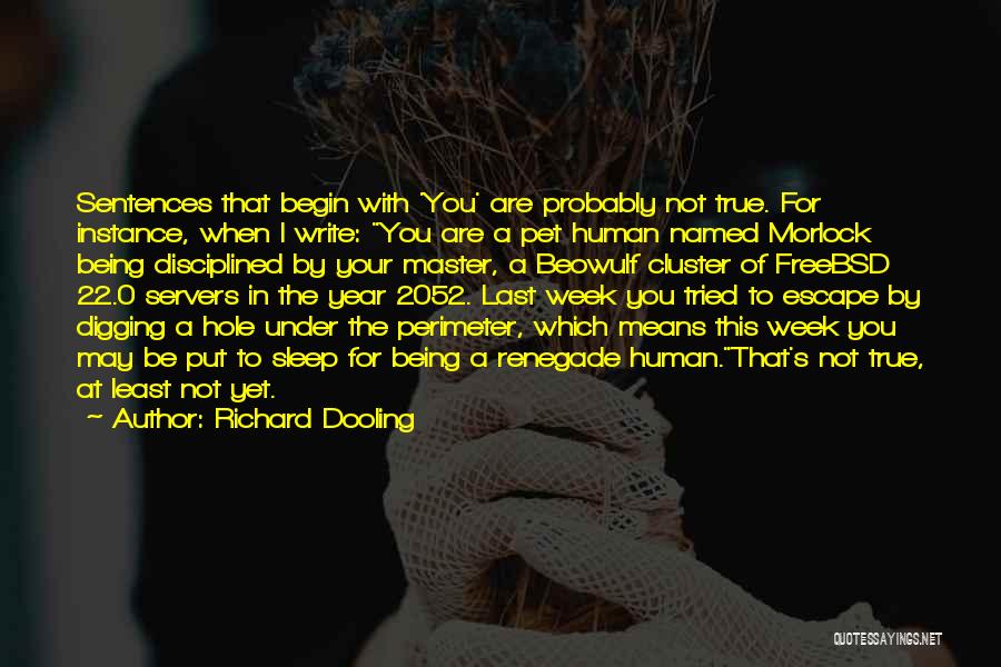 Richard Dooling Quotes: Sentences That Begin With 'you' Are Probably Not True. For Instance, When I Write: You Are A Pet Human Named