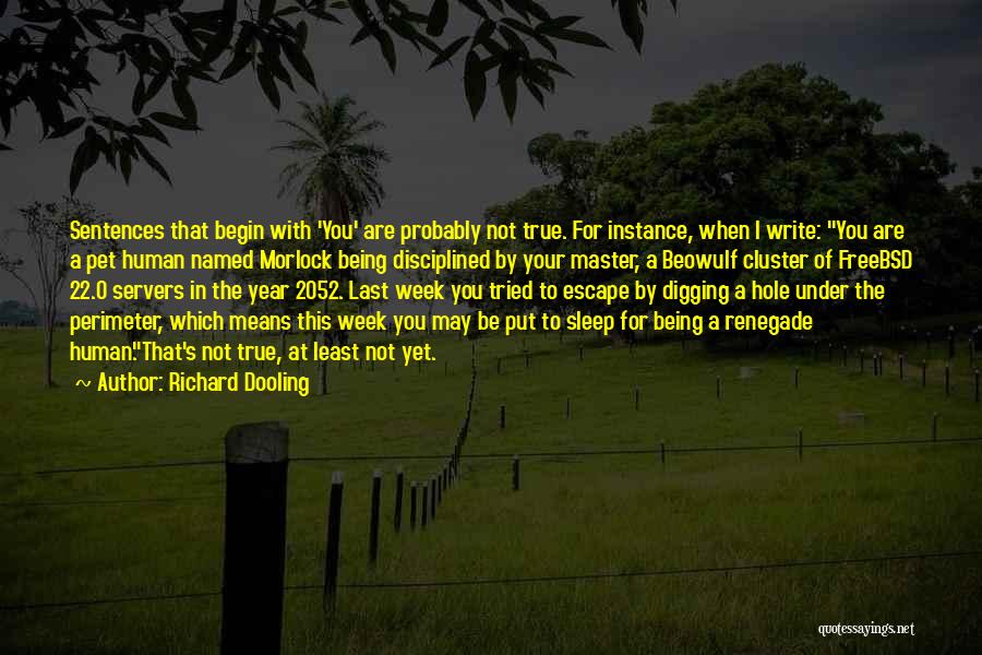Richard Dooling Quotes: Sentences That Begin With 'you' Are Probably Not True. For Instance, When I Write: You Are A Pet Human Named