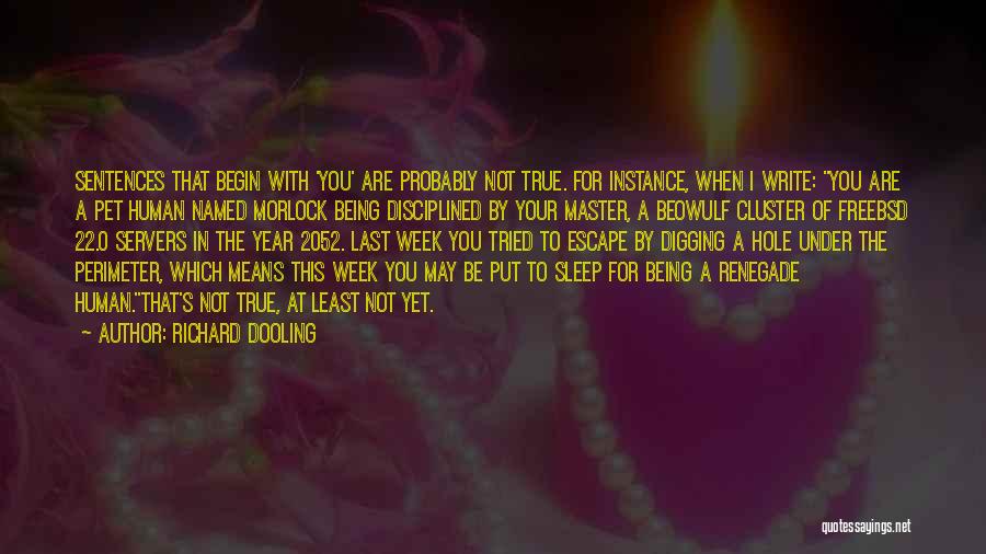 Richard Dooling Quotes: Sentences That Begin With 'you' Are Probably Not True. For Instance, When I Write: You Are A Pet Human Named