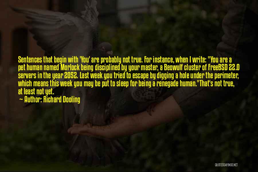 Richard Dooling Quotes: Sentences That Begin With 'you' Are Probably Not True. For Instance, When I Write: You Are A Pet Human Named