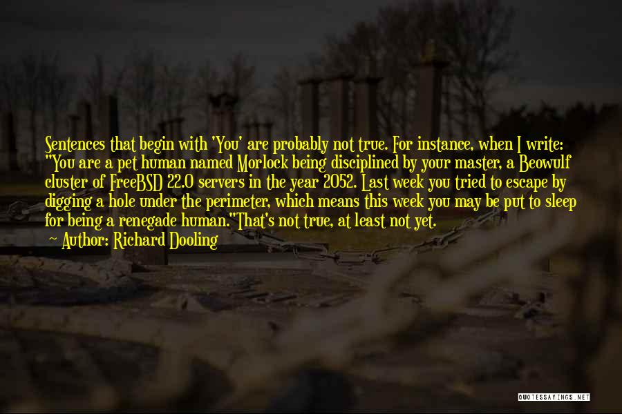 Richard Dooling Quotes: Sentences That Begin With 'you' Are Probably Not True. For Instance, When I Write: You Are A Pet Human Named