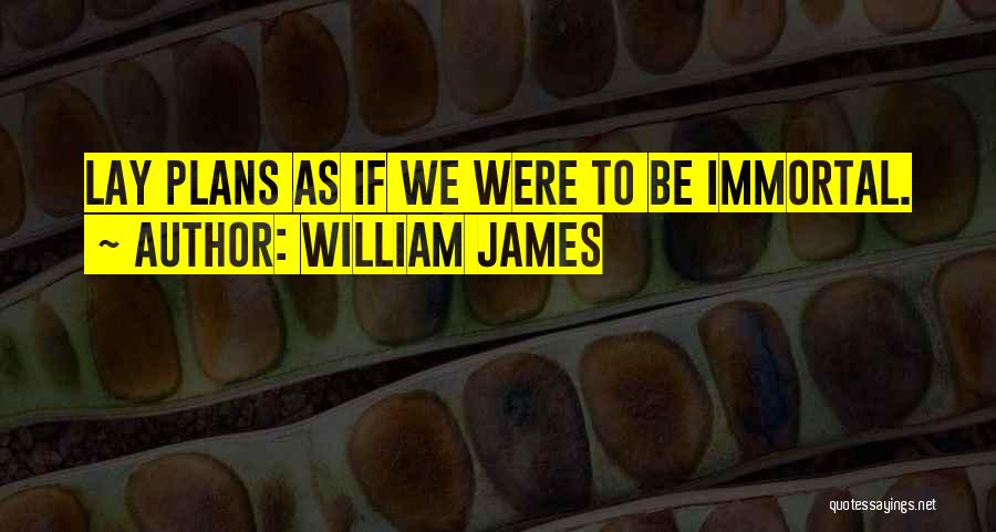 William James Quotes: Lay Plans As If We Were To Be Immortal.