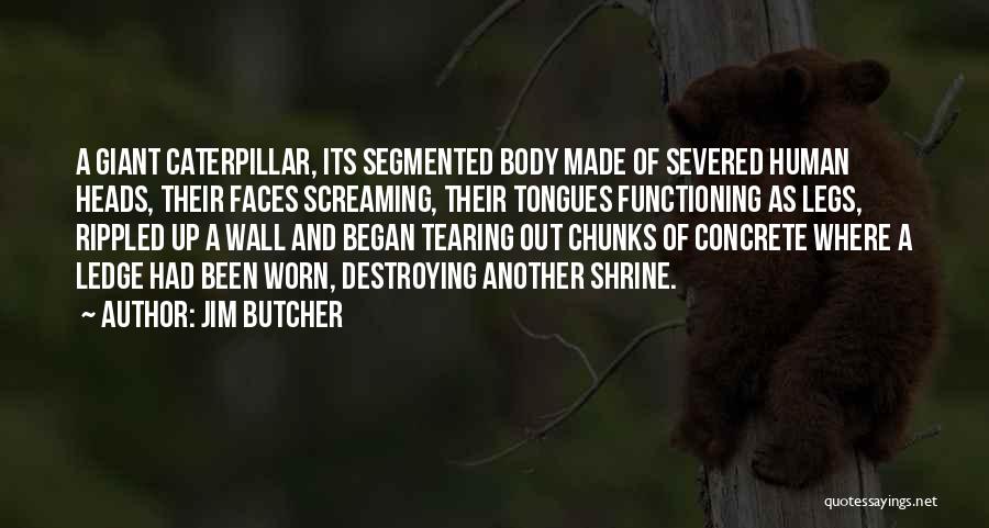 Jim Butcher Quotes: A Giant Caterpillar, Its Segmented Body Made Of Severed Human Heads, Their Faces Screaming, Their Tongues Functioning As Legs, Rippled