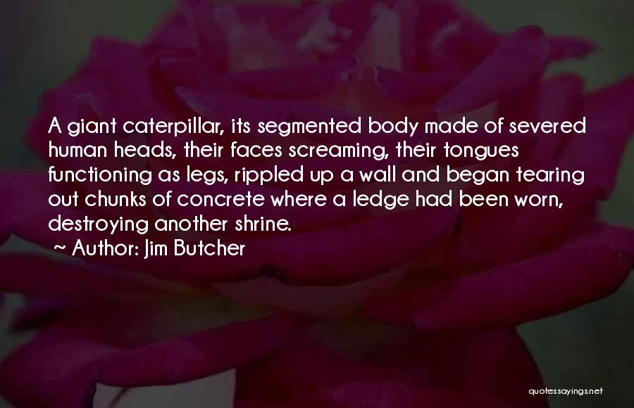 Jim Butcher Quotes: A Giant Caterpillar, Its Segmented Body Made Of Severed Human Heads, Their Faces Screaming, Their Tongues Functioning As Legs, Rippled