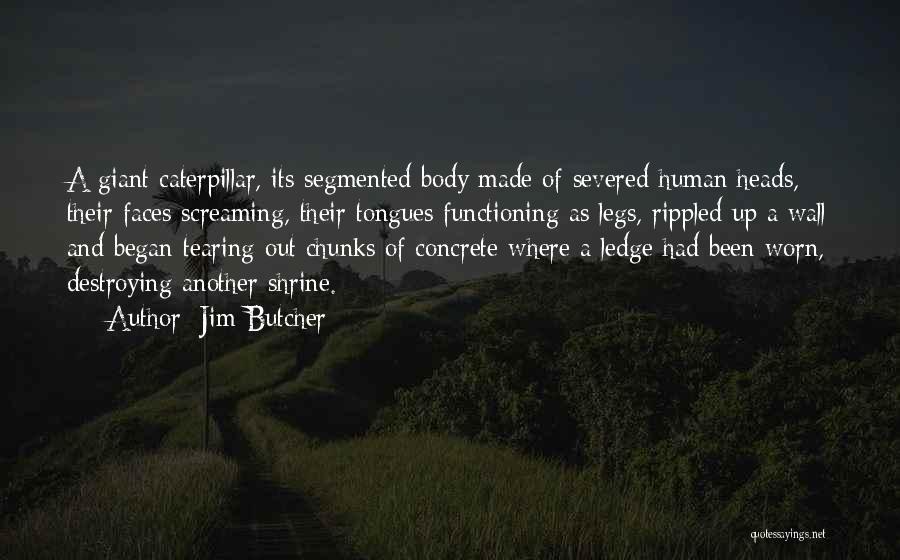 Jim Butcher Quotes: A Giant Caterpillar, Its Segmented Body Made Of Severed Human Heads, Their Faces Screaming, Their Tongues Functioning As Legs, Rippled