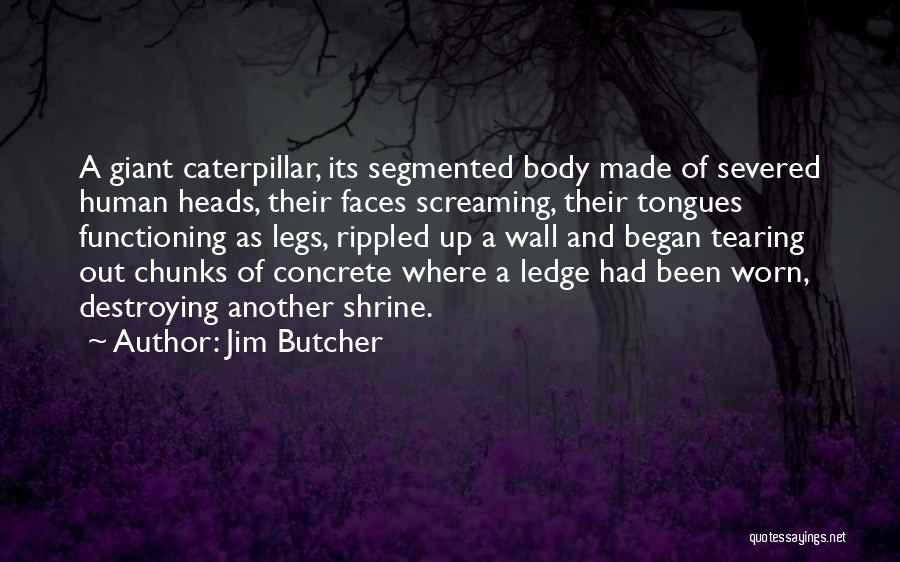 Jim Butcher Quotes: A Giant Caterpillar, Its Segmented Body Made Of Severed Human Heads, Their Faces Screaming, Their Tongues Functioning As Legs, Rippled