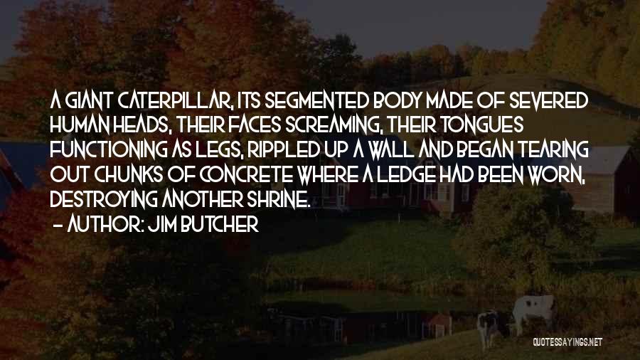 Jim Butcher Quotes: A Giant Caterpillar, Its Segmented Body Made Of Severed Human Heads, Their Faces Screaming, Their Tongues Functioning As Legs, Rippled