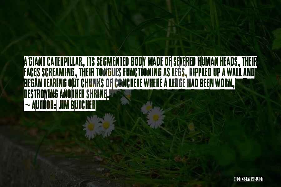 Jim Butcher Quotes: A Giant Caterpillar, Its Segmented Body Made Of Severed Human Heads, Their Faces Screaming, Their Tongues Functioning As Legs, Rippled